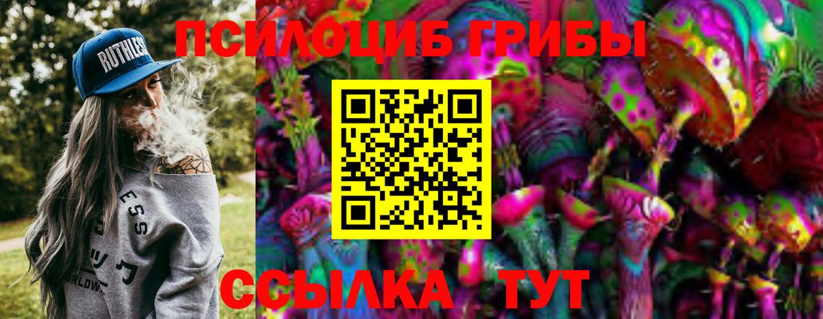 Псилоцибиновые грибы MAGIC MUSHROOMS Луховицы